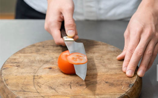 ELEGANCIA ペティナイフ （KSK-02） プレゼント 男性用 大きいハンドル