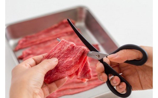 H8-156 キッチンはさみ ＜カーブ形状・食洗器可＞■ミニカーブキッチンハサミ ◇ 貝印 食材用小ハサミ (DH-2513)