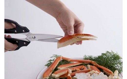 H7-22 キッチン鋏（ロングブレード）