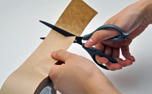 CANARY 粘着テープが付きにくい 紙切はさみ（RMF-170K）～ペーパークラフト 工作 鋏 はさみ ハサミ クラフト Craft ハンドメイド スリム シンプル 関市 岐阜県 長谷川刃物 CANARY メーカー直送～