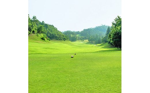 【土日祝限定 おひとり様】トーシンさくらヒルズゴルフクラブプレー券   T37-04 利用券 岐阜県 名古屋から車で1時間 岐阜から車で1時間 中濃