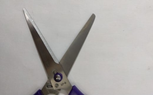 ＜引き切り型だからよく切れる！＞事務用はさみ 155mm