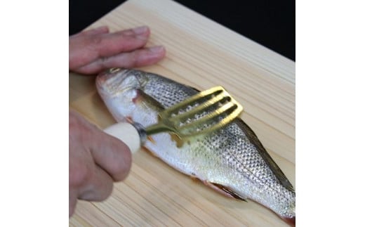 【さかなクンオリジナル】2点セット（鱗取り、骨抜き）