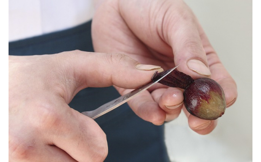 【59E0704】〈貝印〉旬Shun Classic ペティナイフ（60mm）