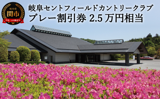 プレー割引券×25枚（岐阜セントフィールド）