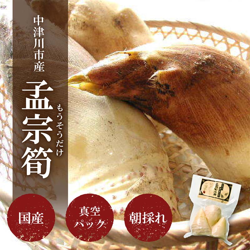 国産たけのこ水煮【中津川市瀬戸産】孟宗筍のみ使用 F4N-2379