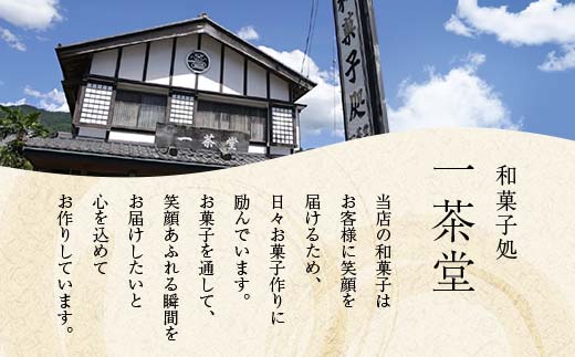 新栗 和菓子処一茶堂 中津川栗きんとん 10個入り F4N-0831