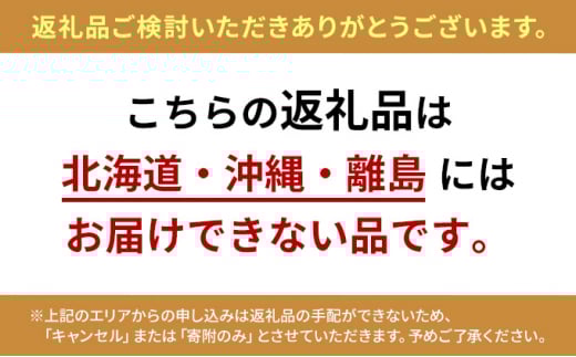 【数量限定！チルド（冷蔵）発送！】「飛騨牛」A5等級サーロインステーキ 200g×5枚 鉄板焼き 網焼き 焼肉 バーベキュー BBQ F4N-1257