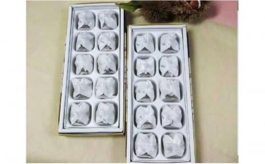 人気商品!! 中津川銘菓：栗きんとん20個（10個入×2箱）[秋季限定]【2025年1月お届け】 F4N-2313