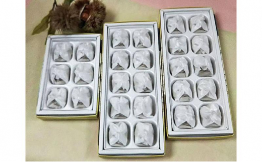 中津川銘菓：栗きんとん26個（10個入×2箱+6個入×1箱）[秋季限定] 信玄堂 【2026年1月お届け】 F4N-2319