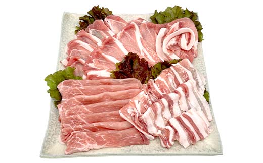 【数量限定！チルド(冷蔵)発送！】「飛騨牛Ａ5等級」＆「栗旨豚」食べ比べセット 合計1.2kg すきやき しゃぶしゃぶ用 ふるさと納税 飛騨牛 栗旨豚 東美濃農業協同組合 F4N-1807