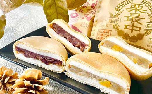 中津川市之瀬最中アイス 5種セット 各2個 計10個入り 定期便 アイス アイスクリーム ジェラート 最中 最中アイス 贈答 家族パック バラエティパック バラエティセット 乳製品 お菓子 箱詰め セット商品 詰め合わせ デザート お試しセット F4N-1841