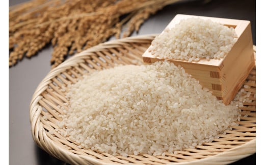 ＜テレビで紹介されました！＞令和7年度 新米【全3回定期便】皇室献上米『銀の朏』2kg 中津川市加子母産 栽培期間中化学肥料不使用 お米 新米 精米 F4N-1867