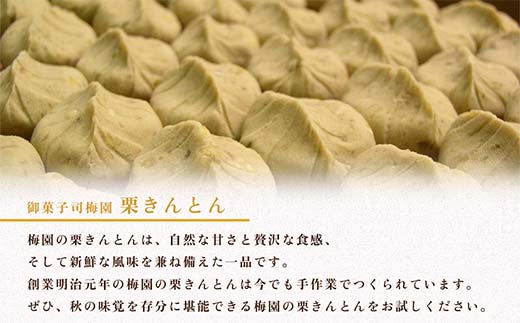 ＜御菓子司梅園＞ 栗きんとん12個(6個入×2箱) 【1月お届け】 栗きんとん 和菓子 菓子 スイーツ 秋 限定 詰め合わせ 冷蔵 岐阜県 F4N-2393