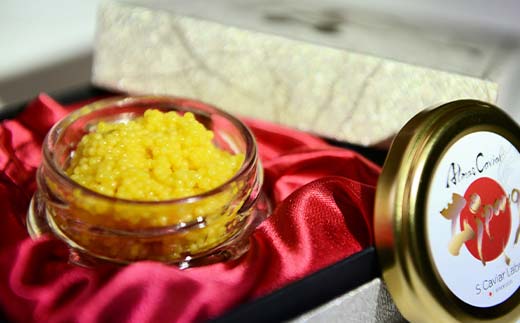 アルマスキャビアジパング＋食べ比べ5種 F4N-2407