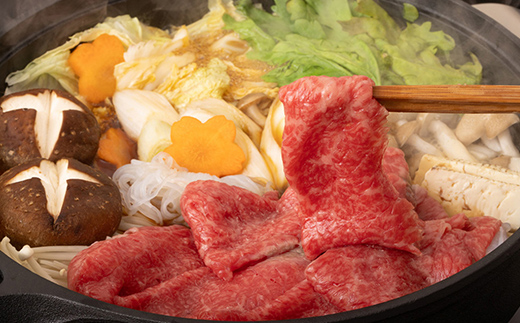 飛騨牛もも肉 すき焼き用 600g 飛騨牛 A5等級 和牛 黒毛和牛 F4N-2656