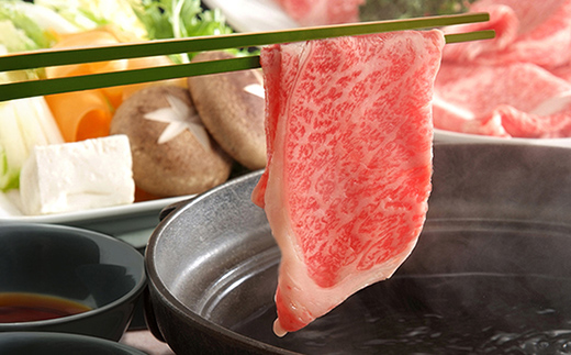 飛騨牛ロース しゃぶしゃぶ用 600g 飛騨牛 A5等級 和牛 黒毛和牛 F4N-2663