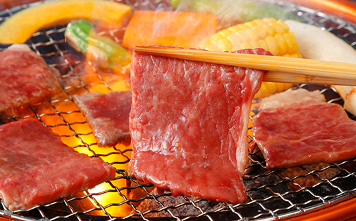 飛騨牛もも肉 焼肉用 600g 飛騨牛 A5等級 和牛 黒毛和牛 F4N-2666