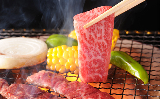 飛騨牛ロース 焼肉用 600g 飛騨牛 A5等級 和牛 黒毛和牛 F4N-2668