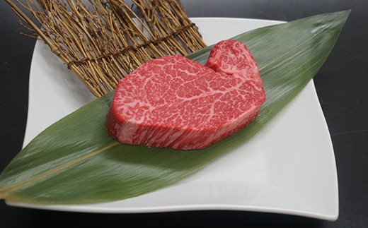 飛騨牛ヒレ ステーキ 120g (1枚) 飛騨牛 A5等級 和牛 黒毛和牛 F4N-2670