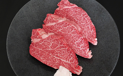 飛騨牛ヒレ ステーキ 120g (3枚) 飛騨牛 A5等級 和牛 黒毛和牛 F4N-2672