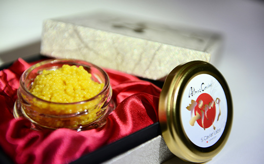 アルマスキャビアジパング F4N-2754