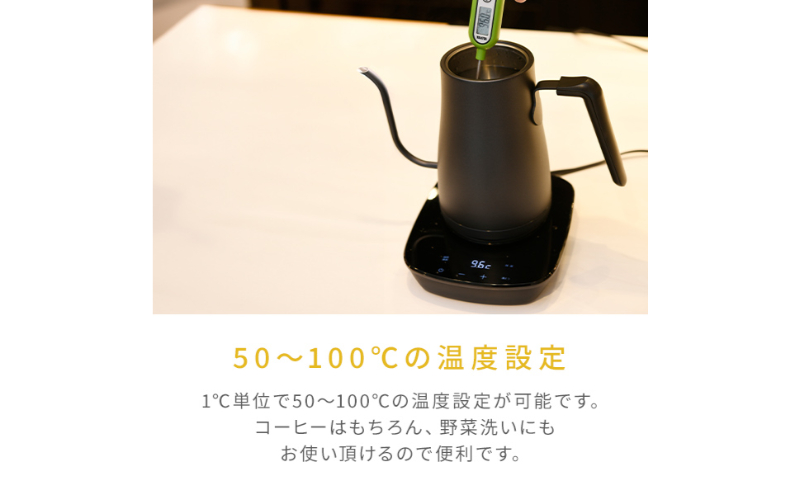 温度調節機能付き電気ケトル（1000W/0.8L） EKG-C801(B) 77678 F4N-2564