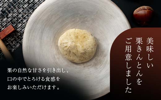 新栗 和菓子処一茶堂 中津川栗きんとん 10個入り F4N-0831
