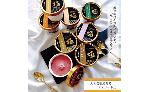 中津川市之瀬 素材の旨みを最大限に活かしたジェラート「極ーきわみー 厳選8種set」 F4N-1831