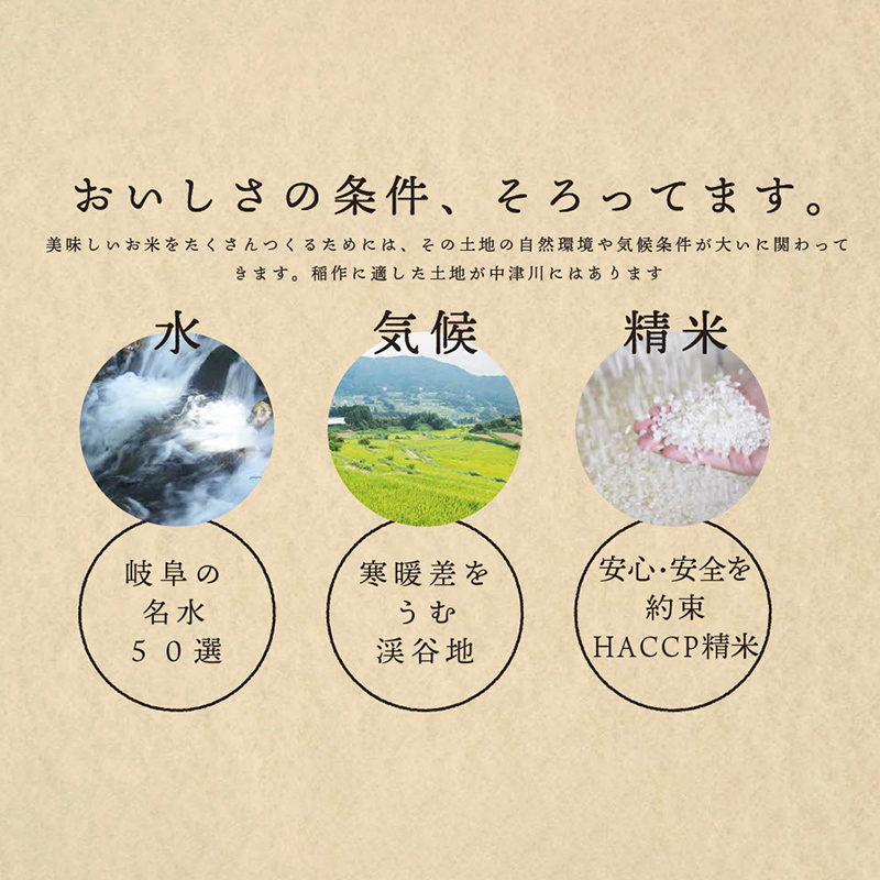 【6回定期便】岐阜県産 棚田米 1等米コシヒカリ はちたか米 精米5kg F4N-2580