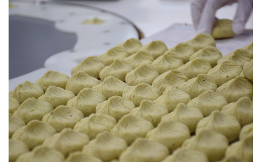 【12月お届け】 御菓子所 川上屋 栗きんとん （秋季限定）20個入り F4N-1703