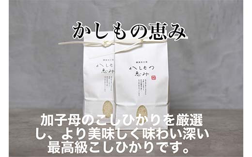 加子母産コシヒカリ「かしもの恵み」1kg×3 あなたが選ぶ日本一おいしい米コンテスト受賞米 米 精米 コシヒカリ F4N-1799
