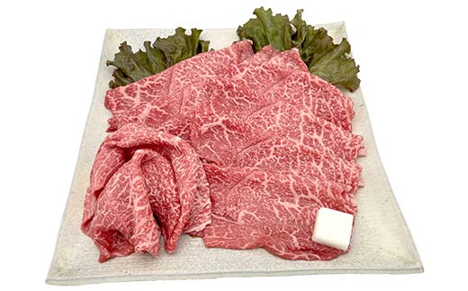 【数量限定！チルド(冷蔵)発送！】「飛騨牛Ａ5等級」＆「栗旨豚」食べ比べセット 合計1.2kg すきやき しゃぶしゃぶ用 ふるさと納税 飛騨牛 栗旨豚 東美濃農業協同組合 F4N-1807