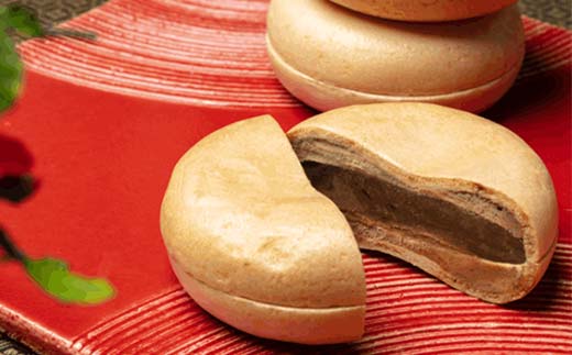 中津川市之瀬最中アイス 5種セット 各2個 計10個入り 定期便 アイス アイスクリーム ジェラート 最中 最中アイス 贈答 家族パック バラエティパック バラエティセット 乳製品 お菓子 箱詰め セット商品 詰め合わせ デザート お試しセット F4N-1841