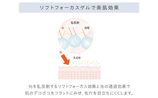 LA SINCIA IN/OUT デイヴェール UV 40mL SPF50＋PA＋＋＋＋ 発酵×和素材 紫外線対策 日中用ノンケミカルUVジェル 日本製 化粧品 メイク F4N-2352