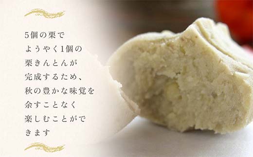 ＜御菓子司梅園＞ 栗きんとん12個(6個入×2箱) 【1月お届け】 栗きんとん 和菓子 菓子 スイーツ 秋 限定 詰め合わせ 冷蔵 岐阜県 F4N-2393