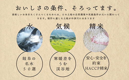 【6回定期便】岐阜県産 棚田米 1等米コシヒカリ はちたか米 玄米20kg（10kg×2袋） F4N-2644