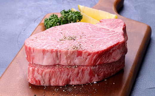 飛騨牛ヒレ ステーキ 120g (2枚) 飛騨牛 A5等級 和牛 黒毛和牛 F4N-2671