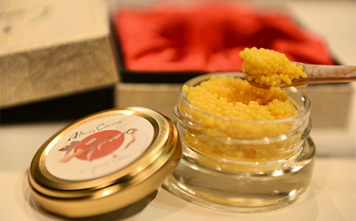 アルマスキャビアジパング F4N-2754