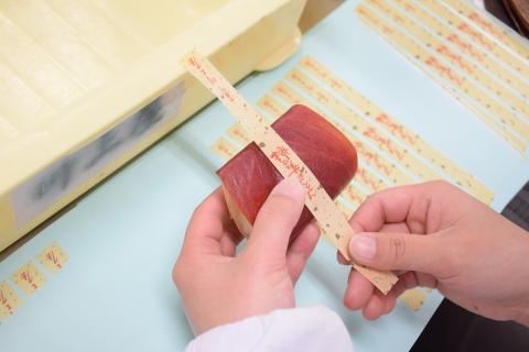 【2026年1月お届け】 御菓子所 川上屋 柿の美きんとん 10個入り F4N-1901