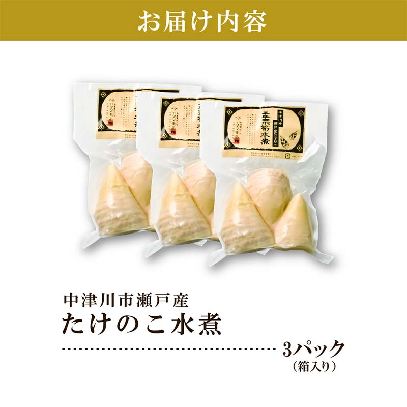 国産たけのこ水煮【中津川市瀬戸産】孟宗筍のみ使用 F4N-2379