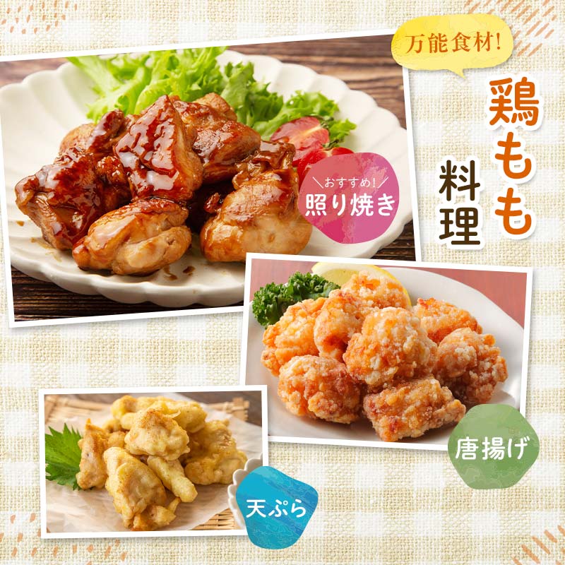 産地直送！恵那どりもも肉 6枚セット 冷凍 F4N-2400