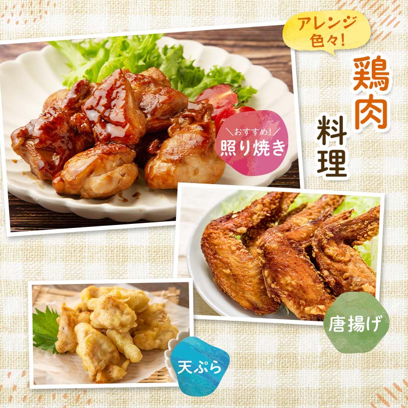 産地直送！恵那どり お試し6種 12パックセット 冷凍 F4N-2403