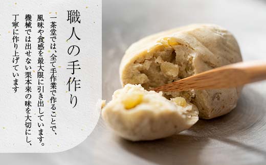 新栗 和菓子処一茶堂 中津川栗きんとん 10個入り F4N-0831