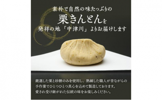 人気商品!! 中津川銘菓：栗きんとん20個（10個入×2箱）[秋季限定]【2025年1月お届け】 F4N-2313