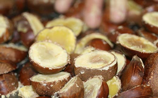 ＜加子母の里 仁太郎＞栗きんとん10個入 栗 くり 栗きんとん おやつ 菓子 和菓子 デザート スイーツ F4N-1778