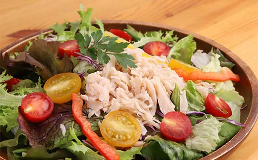 恵那どり サラダチキン セット 6パック 鶏肉 岐阜県 中津川市 サラダ トッピング たんぱく質 ダイエット 筋トレ F4N-1785