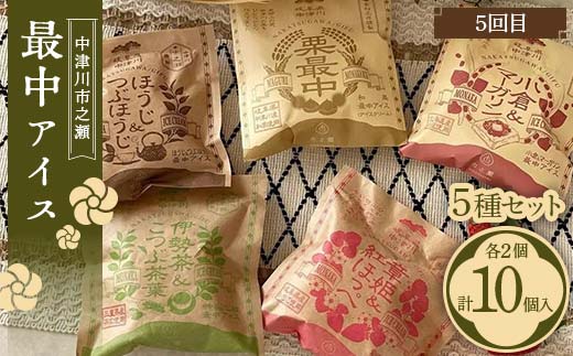 バラエティセット【年5回定期便】 定期便 アイス アイスクリーム ジェラート 最中 最中アイス 贈答 家族パック バラエティパック バラエティセット 乳製品 お菓子 箱詰め セット商品 詰め合わせ デザート お試しセット F4N-1829