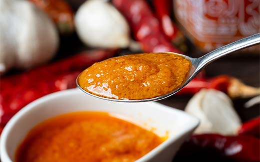 大辛ファイヤー！レギュラー1本、特製トマトソース・ミックス1本 旨辛 ソース にんにく 唐辛子 調味料 備蓄 加工品 食品 ギフトセット F4N-1850