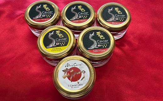 アルマスキャビアジパング＋食べ比べ5種 F4N-2407